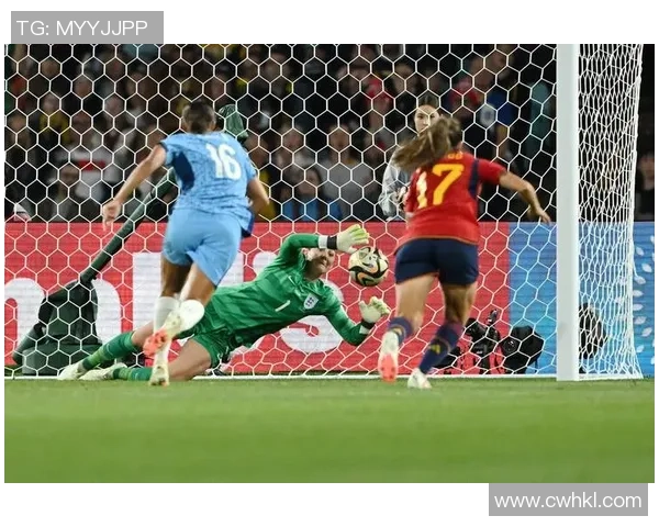 2010年世界杯决赛回顾荷兰对阵西班牙的经典对决与精彩瞬间