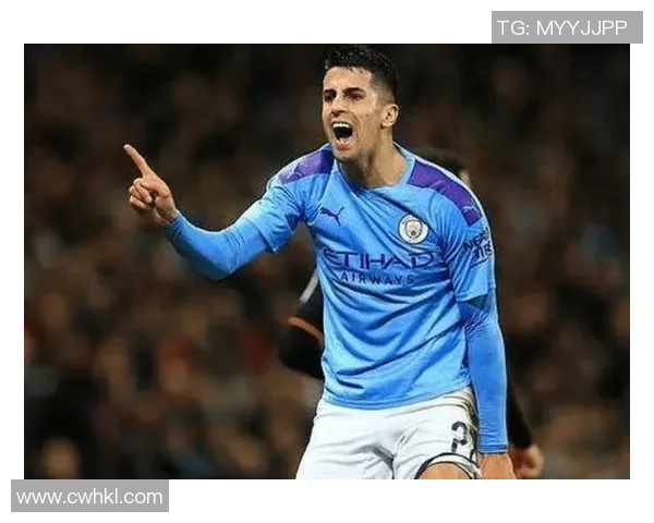 坎塞洛在足球场上的华丽转身与未来发展潜力的深度分析