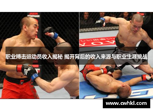 职业搏击运动员收入揭秘 揭开背后的收入来源与职业生涯挑战