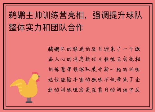 鹈鹕主帅训练营亮相，强调提升球队整体实力和团队合作